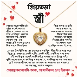 প্রিয়তমা স্ত্রী – প্রিমিয়াম হার্ট শেপ নেকলেস গিফট বক্স